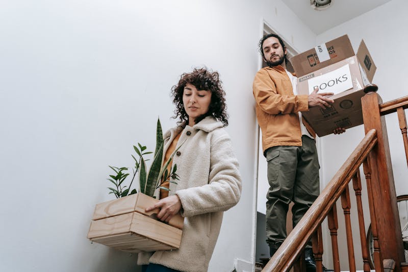 A couple moving out carrying a box and a crate with the plant